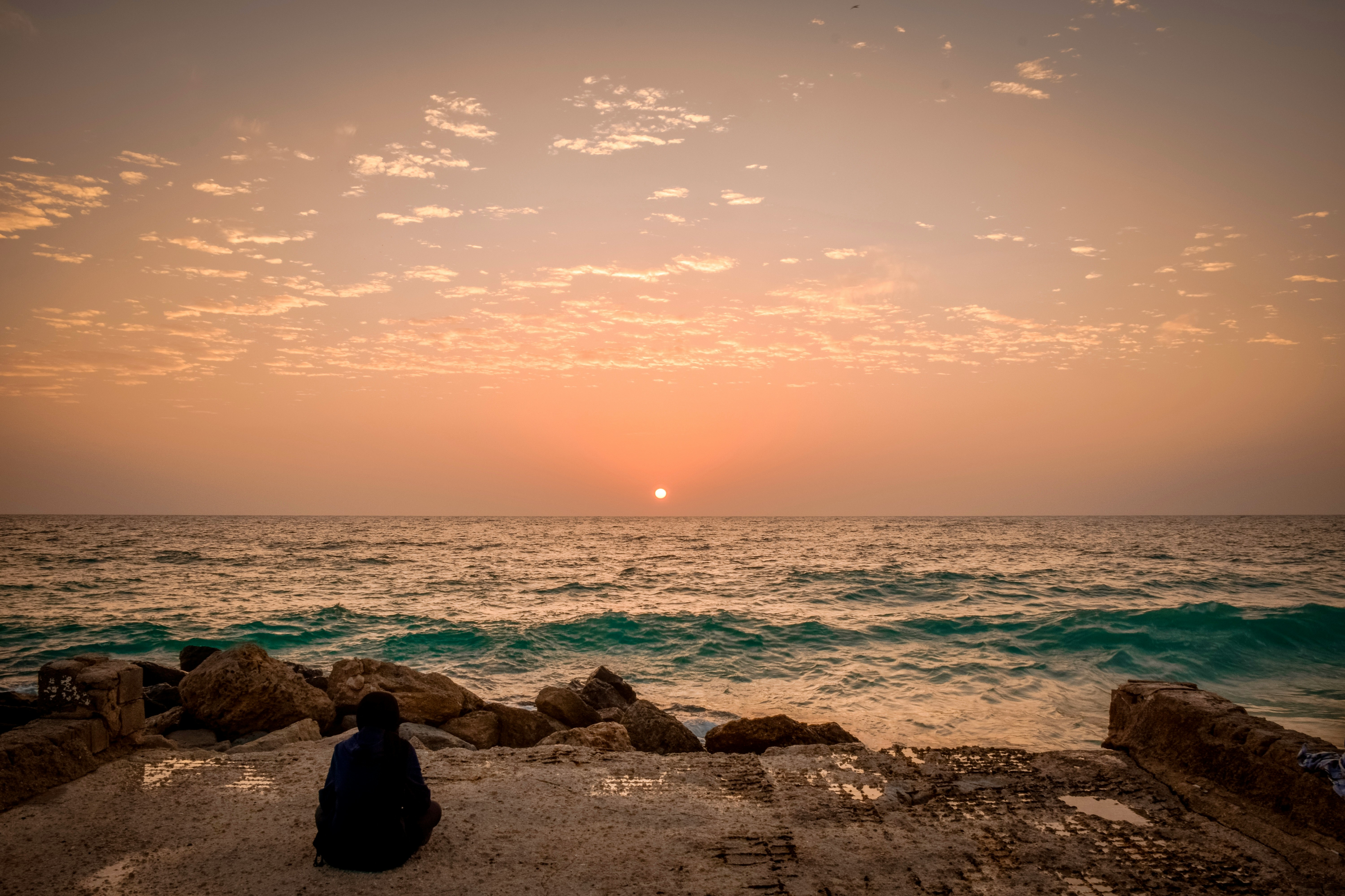 Les 8 clés du bien-être avec les fleurs de Bach