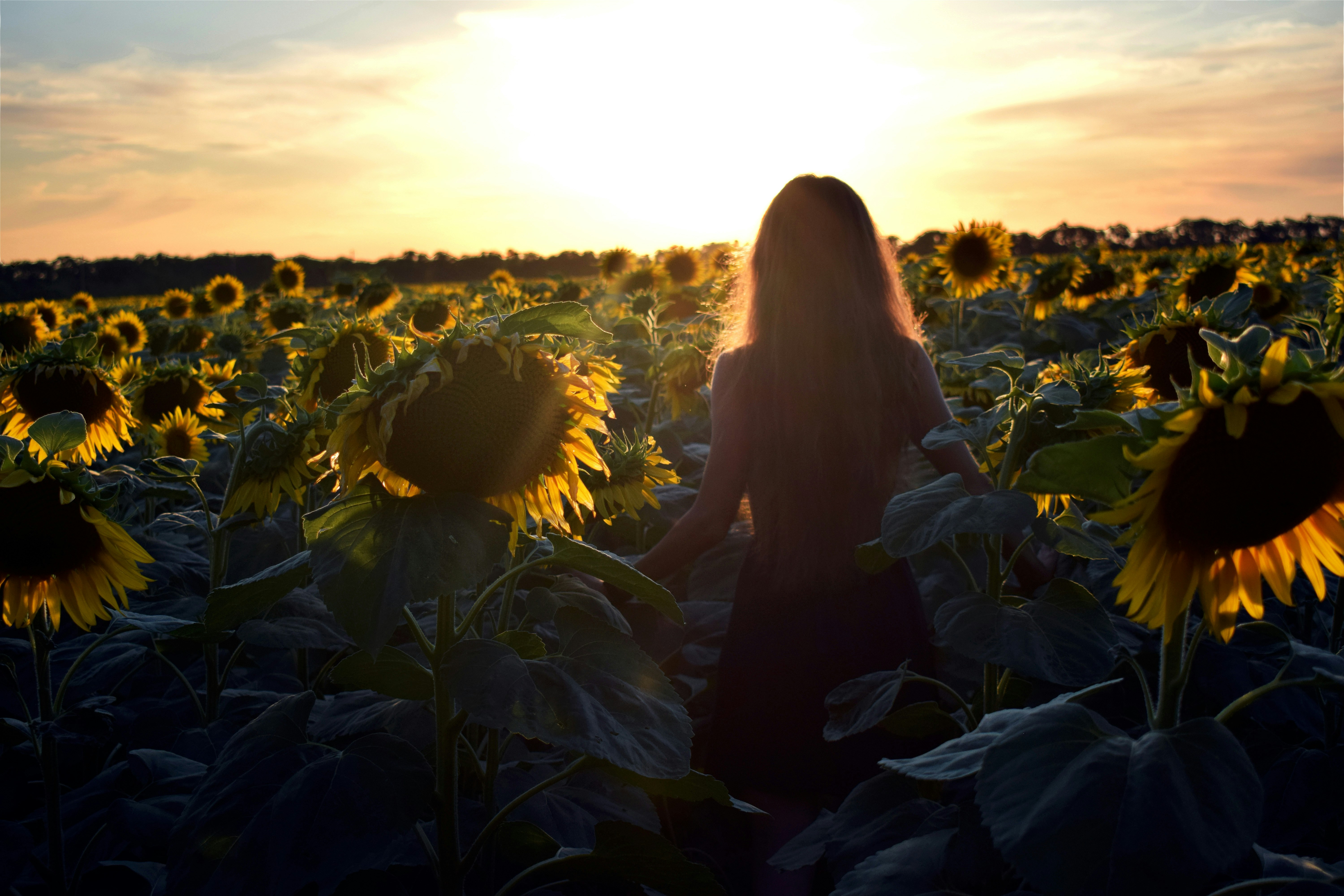 Lâcher prise en douceur avec les fleurs de Bach